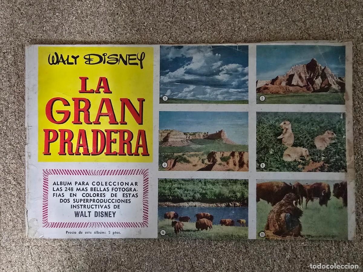 Coleccionismo &aacute;lbumes: Album Cromos La Gran Pradera.Incompleto.Walt Disney.Ediciones Cliper
