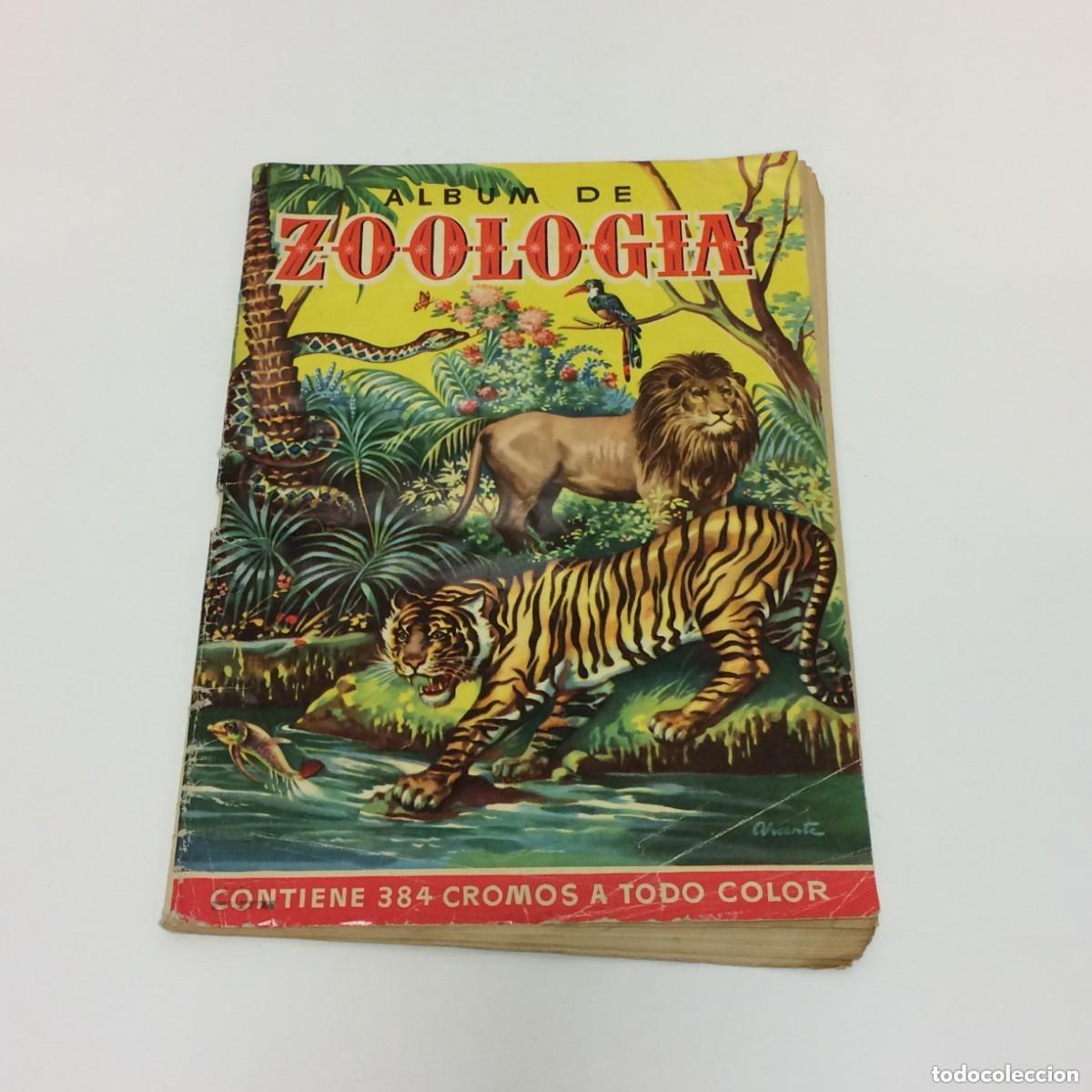 Coleccionismo &aacute;lbumes: ALBUM CROMOS - ZOOLOGIA COLECCION DE 384 CROMOS - ED. BRUGUERA - A&Ntilde;OS 50 - INCOMPLETO