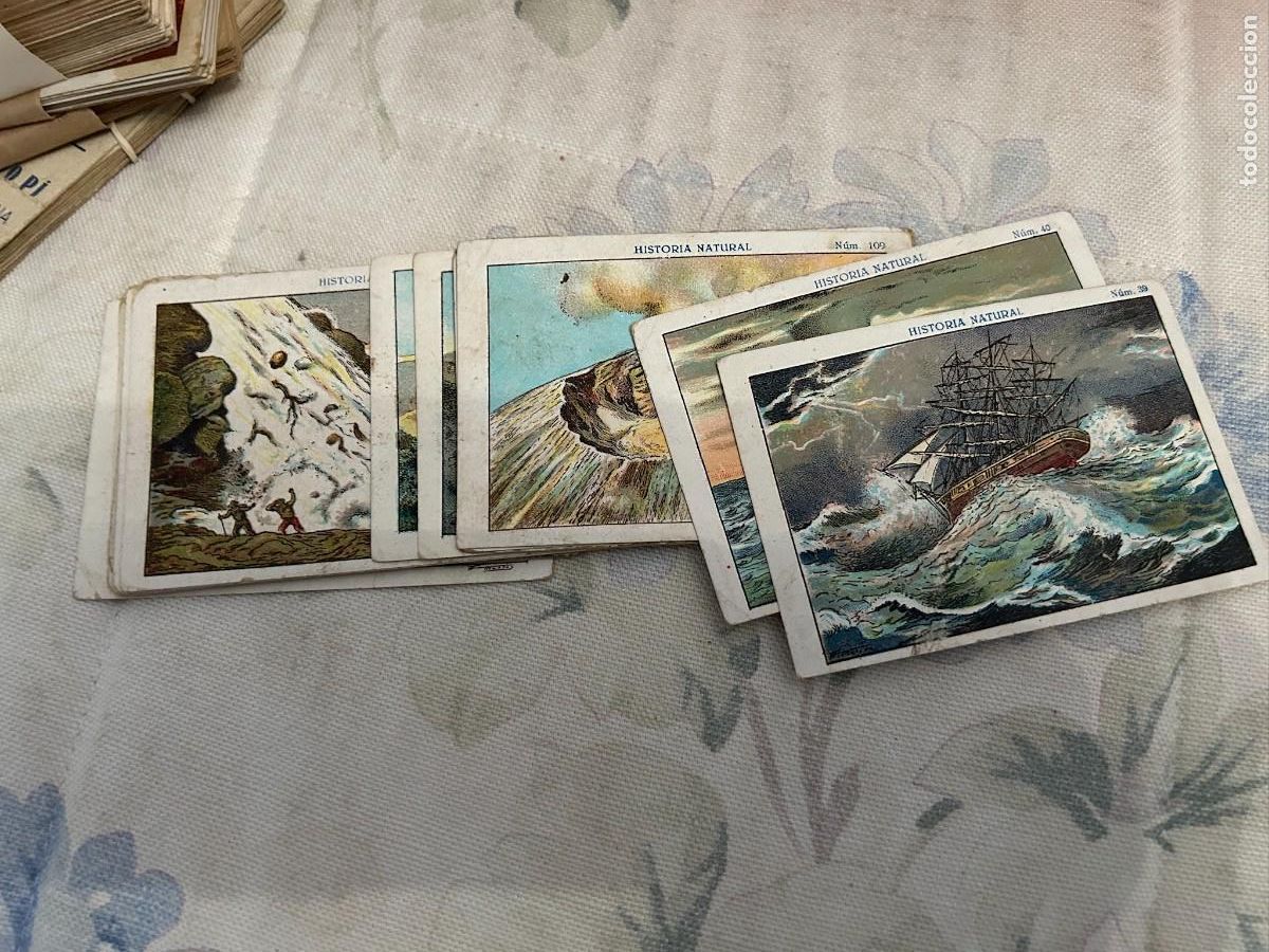 Coleccionismo &aacute;lbumes: HISTORIA NATURAL 19 CROMOS NO PEGADOS SE VENDEN SUELTOS REALCION EN DESCRIPCION