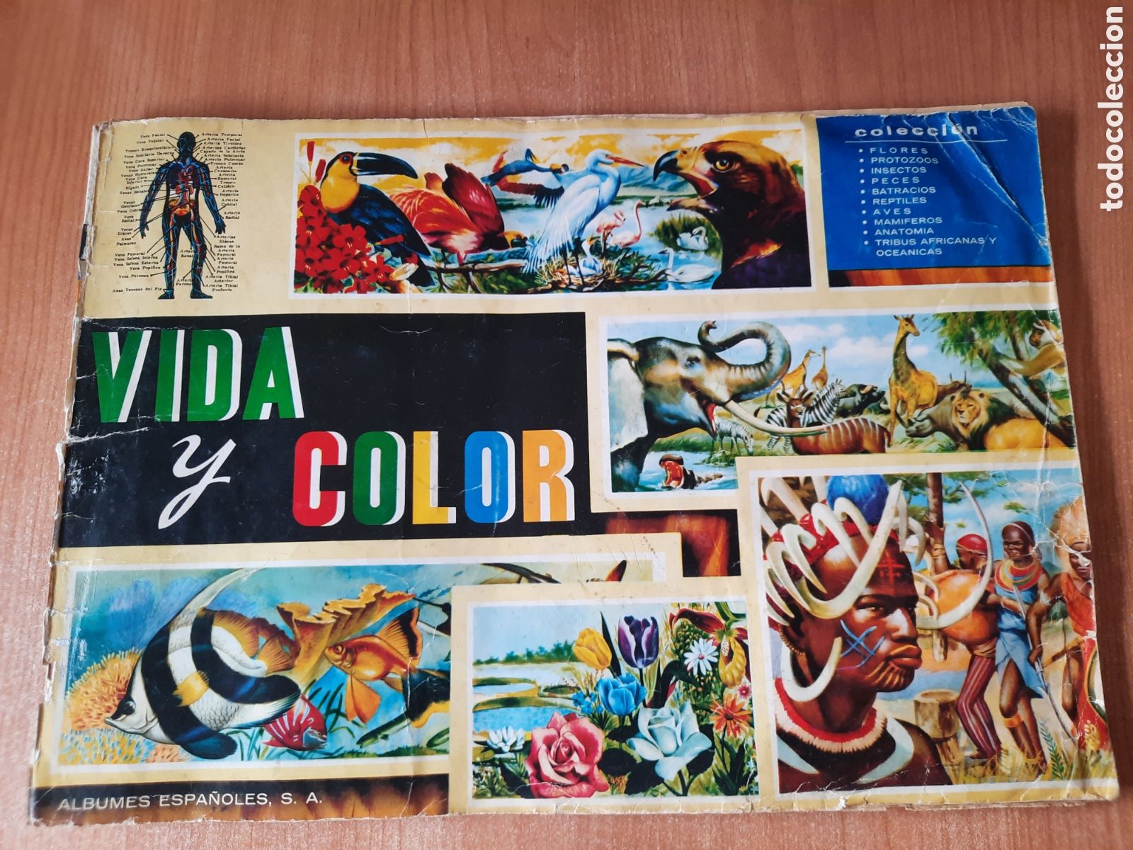 Coleccionismo &aacute;lbumes: Colecci&oacute;n Vida y Color a&ntilde;o 1965- incompleto