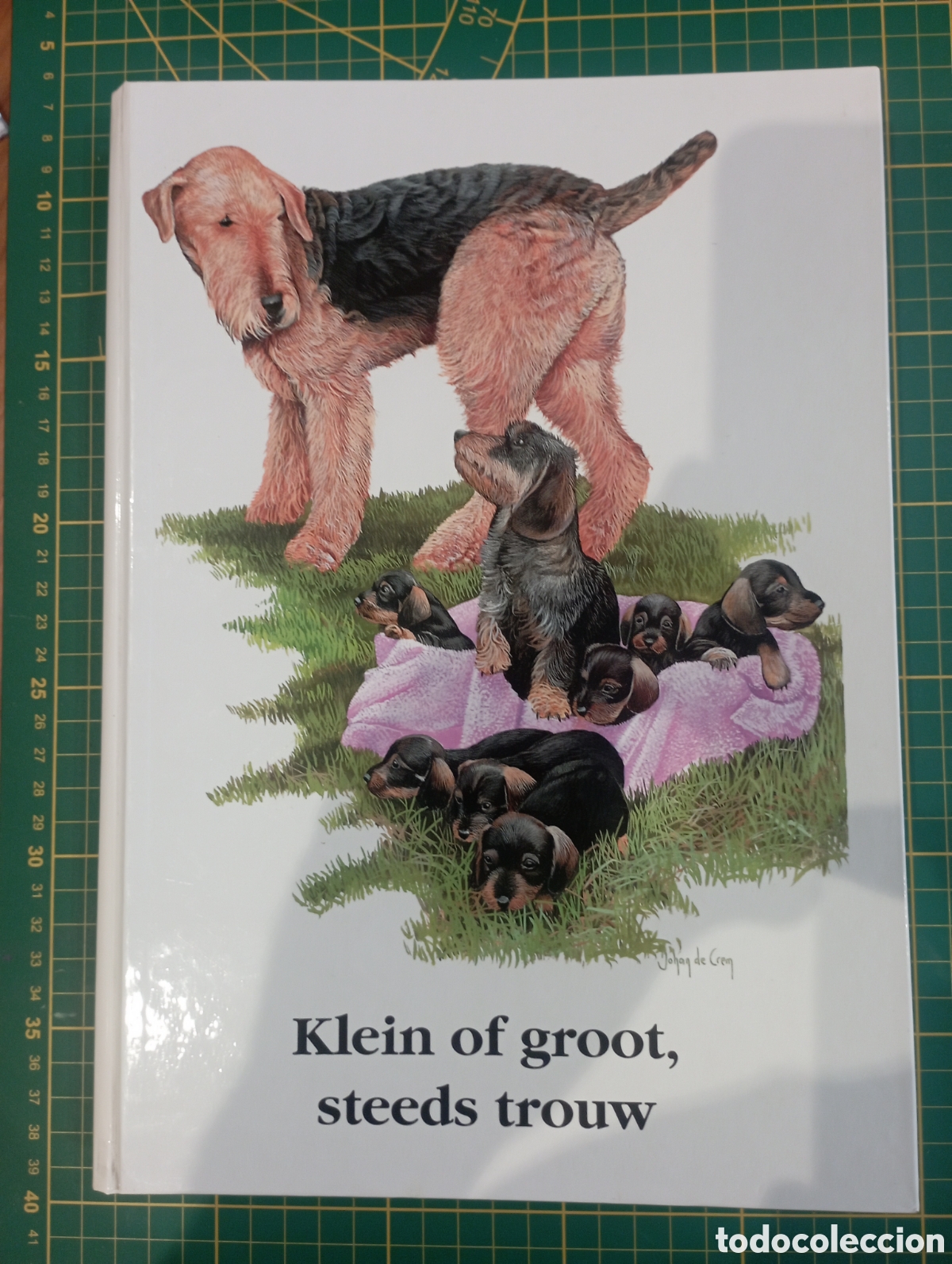 Coleccionismo &aacute;lbumes: Libro &aacute;lbum de 69 l&aacute;minas/cromos gran formato incompleto de razas de perros