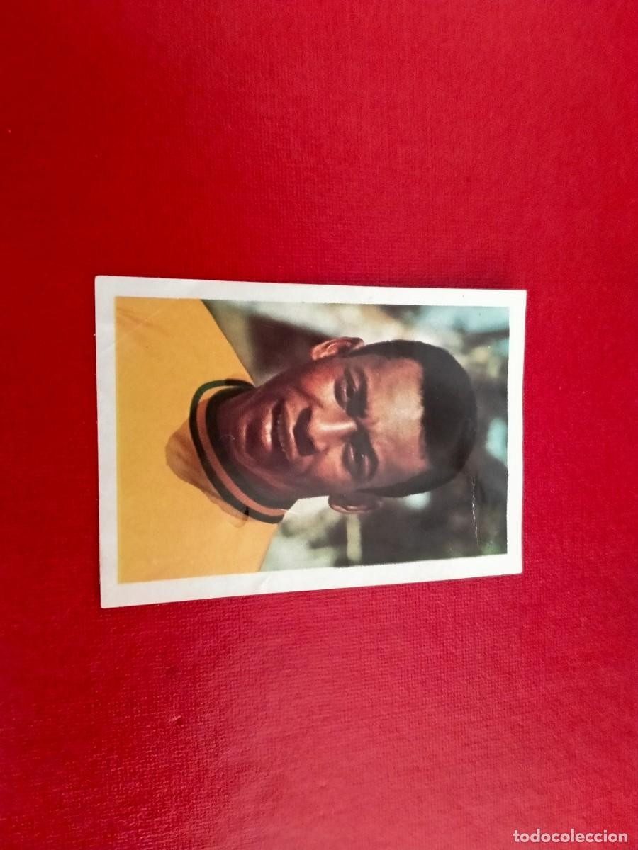 Collectionnisme Albums: cromo de pele munich 74