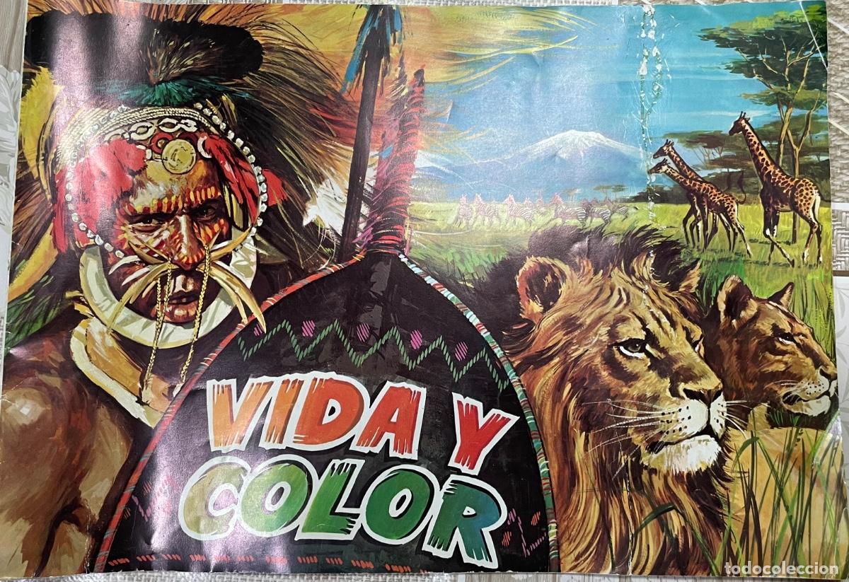 Colecionismo Cadernetas: &Aacute;lbum de cromos &rdquo;Vida y Color&rdquo; (Heraclio Fournier / &Aacute;lbumes Espa&ntilde;oles, 1965) - 31 cromos