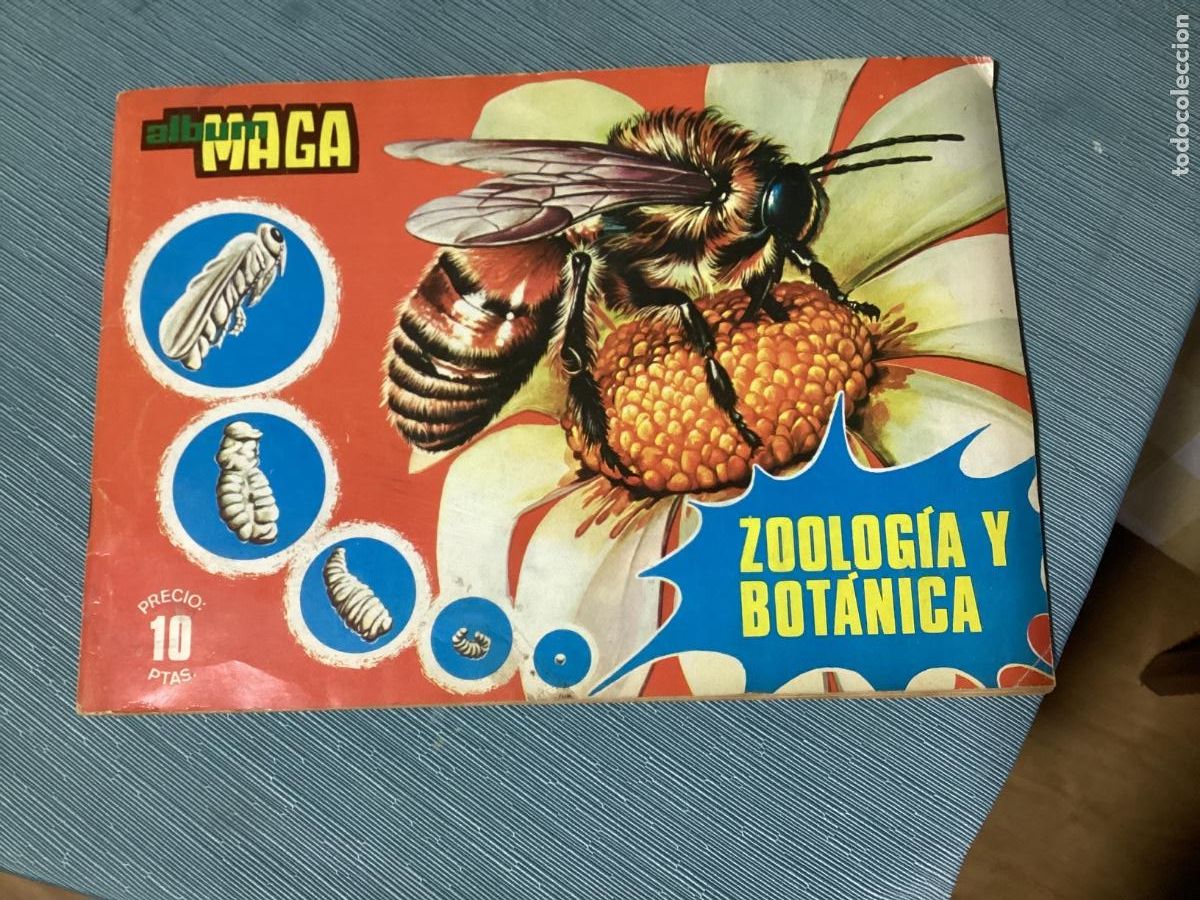 Coleccionismo &aacute;lbumes: &Aacute;lbum cromos MAGA Zoolog&iacute;a y Bot&aacute;nica 1969. Incompleto (aprox. 90%),