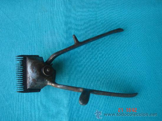 Antig&uuml;edades: M&Aacute;QUINA ANTIG&Uuml;A DE PELAR -BARBEROS- - Foto 1