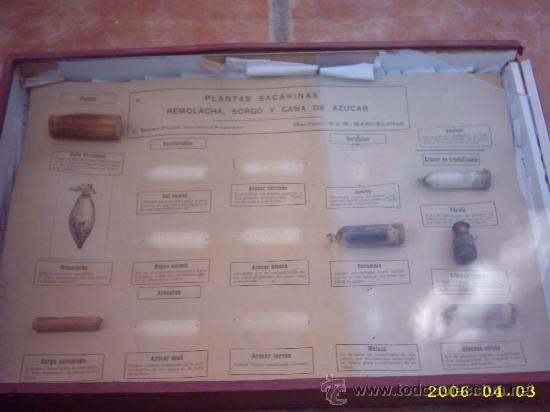 Antig&uuml;edades: Caja did&acute;`actica s-XIX.  Apropiada para Museo - Foto 1