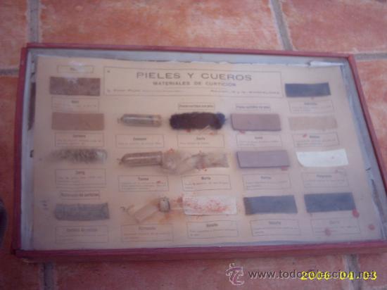 Antig&uuml;edades: Caja did&aacute;ctica s. XIX - Foto 1