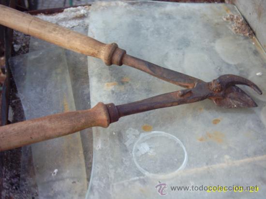 Antig&uuml;edades: Antiguas tijeras de podar - Foto 1