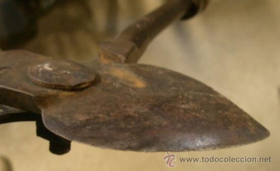 Antig&uuml;edades: Tijera de podar antigua - Foto 9