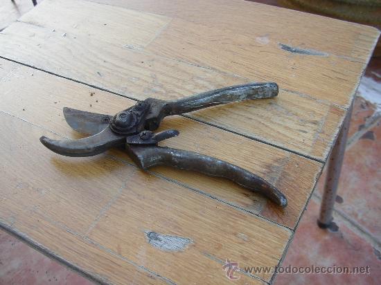 Antig&uuml;edades: Antiguas tijeras de poda - Foto 1