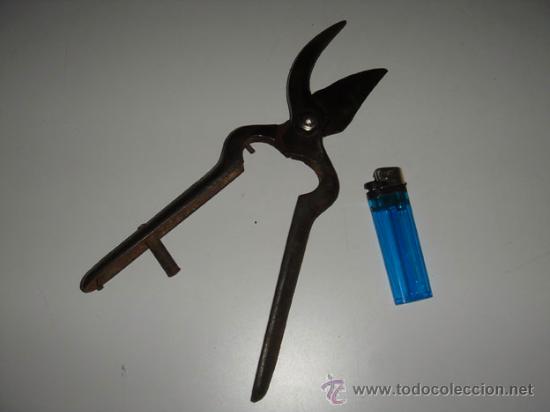 Antig&uuml;edades: Tijera de podar incompleta. - Foto 2
