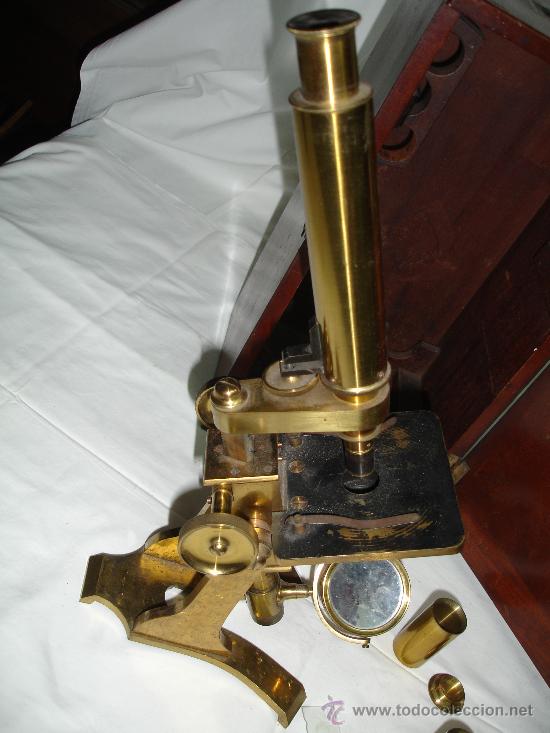 Antig&uuml;edades: Precioso microscopio Ingl&eacute;s / Alrededor de 1880 - Foto 6