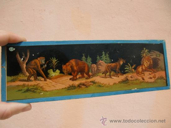 Antig&uuml;edades: Linterna m&aacute;gica marca E.P. con placas - Foto 28