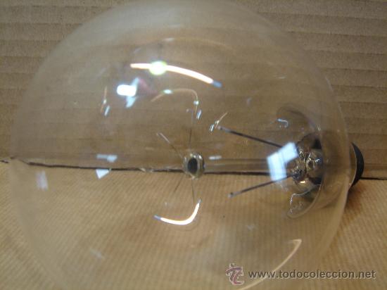 Antig&uuml;edades: ANTIGUA BOMBILLA 18 CMS - - Foto 2