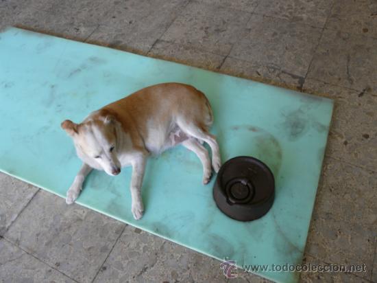 Antig&uuml;edades: PESA DE 20 KG - Foto 5