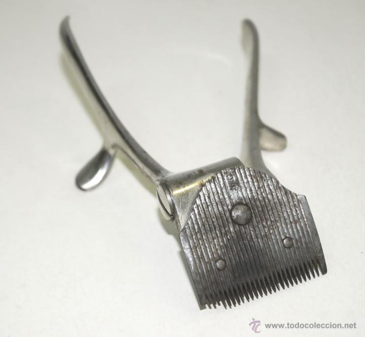 Antig&uuml;edades: detalle dientes rotos - Foto 2