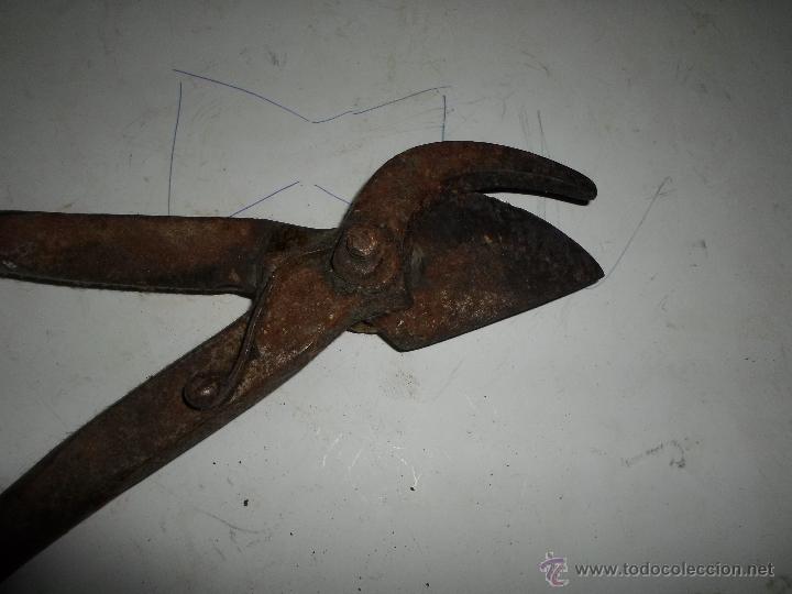 Antig&uuml;edades: TIJERA DE PODAR - Foto 3