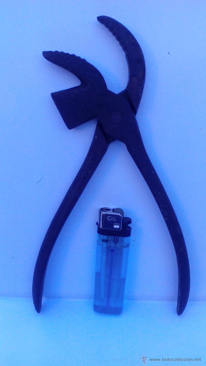 Antig&uuml;edades: ALICATES ZAPATERO CON MANDIBULA CURVA Y MARTILLO - Foto 1