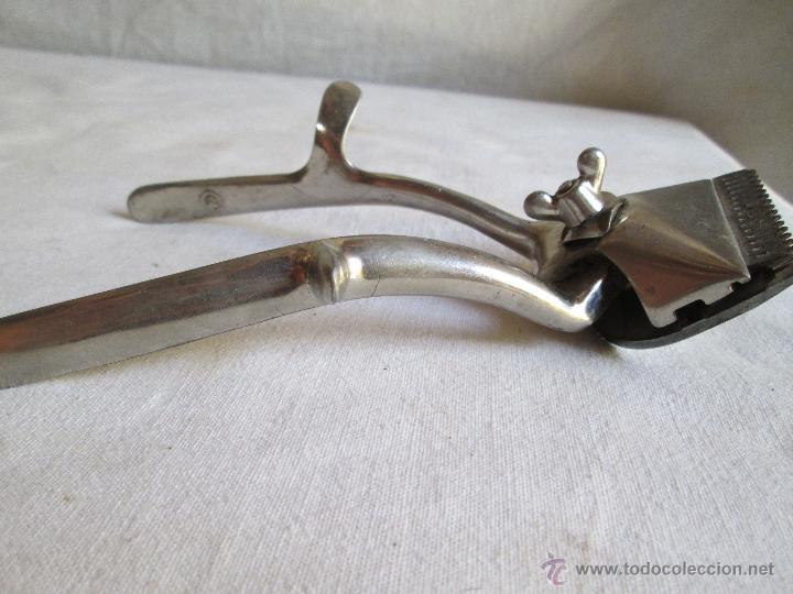 Antig&uuml;edades: MAQUINA CORTAPELO - Foto 3