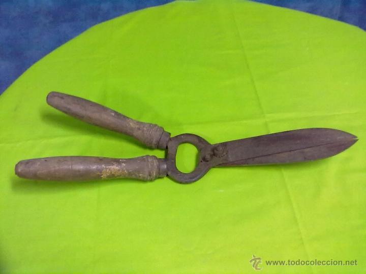 Antig&uuml;edades: TIJERA DE PODAR PODADORA CORTA SETOS - Foto 1