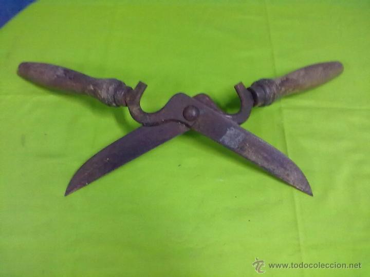 Antig&uuml;edades: TIJERA DE PODAR PODADORA CORTA SETOS - Foto 2