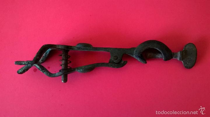 Antig&uuml;edades: Soporte,pinza,de bronce.Medida 15 cm - Foto 3