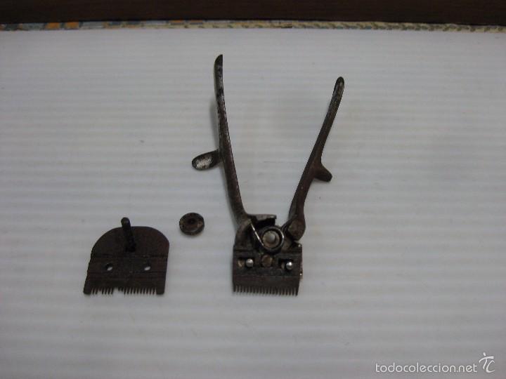Antig&uuml;edades: MINI M&Aacute;QUINA CORTA PELO. - Foto 1