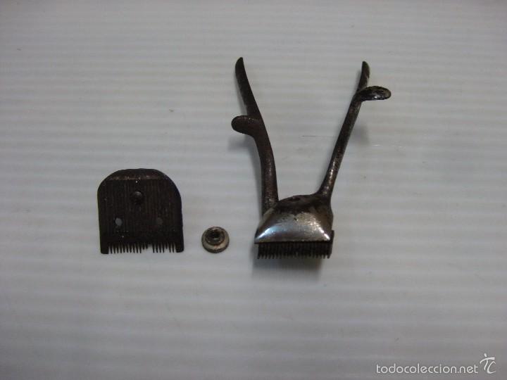 Antig&uuml;edades: MINI M&Aacute;QUINA CORTA PELO. - Foto 2