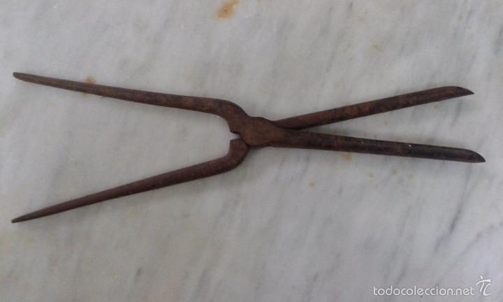 plancha antigua de hierro para pelo - Comprar Maquinillas de Afeitar  Antiguas en todocoleccion - 60433179