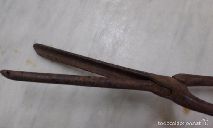 plancha antigua de hierro para pelo - Comprar Maquinillas de Afeitar  Antiguas en todocoleccion - 60433179