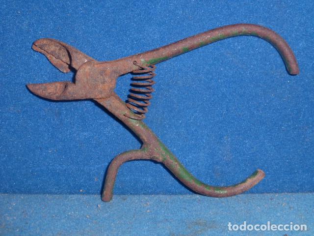 Antig&uuml;edades: ANTIGUOS ALICATES DE CORTE - Foto 1