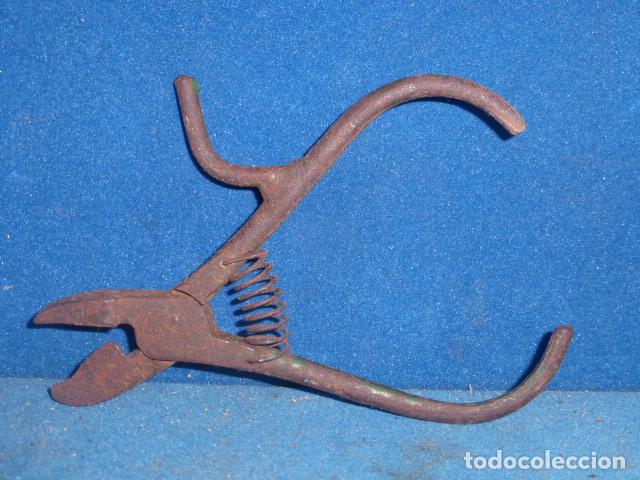 Antig&uuml;edades: ANTIGUOS ALICATES DE CORTE - Foto 2