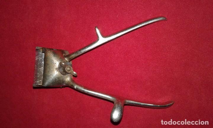 Antig&uuml;edades: Maquina para cortar el pelo, marca Erato-Solingen - Foto 1