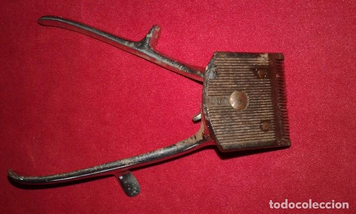 Antig&uuml;edades: Maquina para cortar el pelo, marca Erato-Solingen - Foto 2