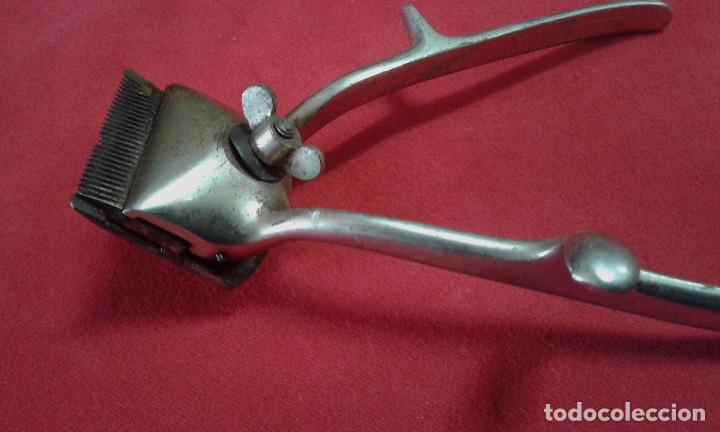 Antig&uuml;edades: Maquina para cortar el pelo, marca Erato-Solingen - Foto 5
