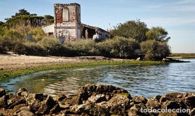 Antig&uuml;edades: CLAVO DE HIERRO FORJADO DE ALMADRABA - Foto 2