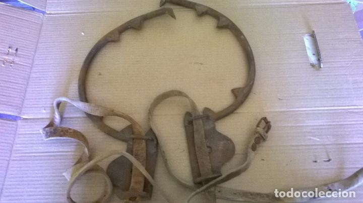Antig&uuml;edades: Trepolines.Antiguos - Foto 1