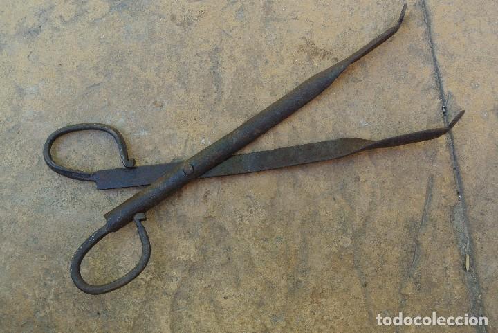Antig&uuml;edades: TIJERAS DE FORJA - Foto 1