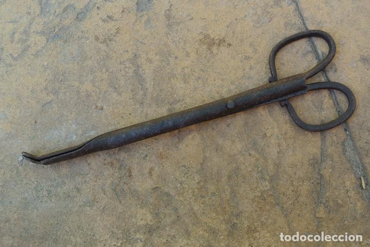 Antig&uuml;edades: TIJERAS DE FORJA - Foto 2
