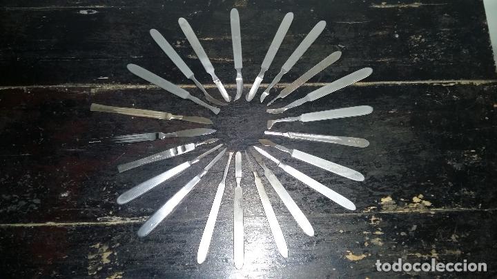 Antig&uuml;edades: 21 BISTUR&Iacute;S DIFERENTES, ANTIGUOS. - Foto 2