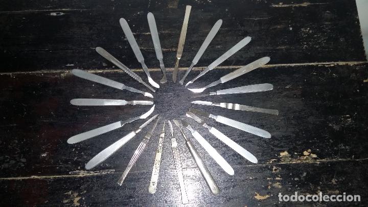 Antig&uuml;edades: 20 DIFERENTES BISTUR&Iacute;S, ANTIGUOS. - Foto 2
