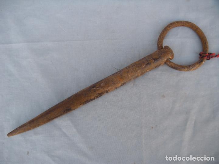 Antig&uuml;edades: ANTIGUO CLAVO DE FORJA CON ANILLA - Foto 1