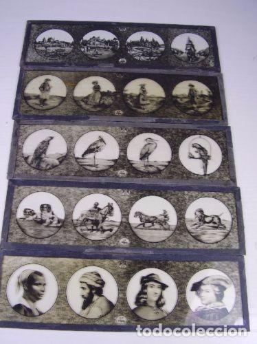 Antig&uuml;edades: Placas de vidrio, 1920 - Foto 2