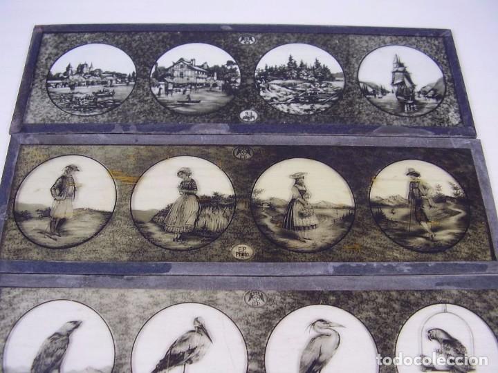 Antig&uuml;edades: Placas de vidrio, 1920 - Foto 3