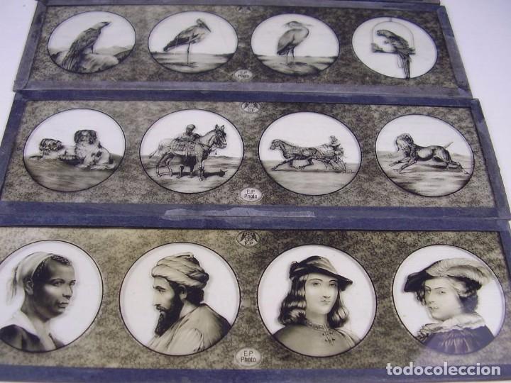 Antig&uuml;edades: Placas de vidrio, 1920 - Foto 4