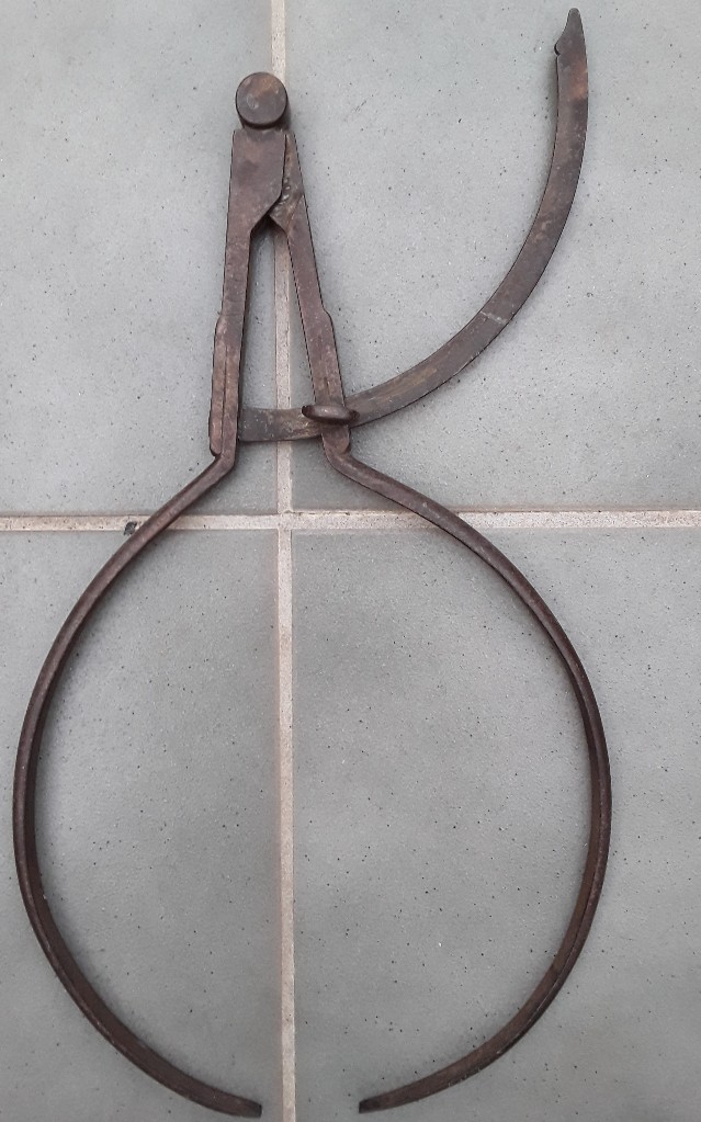 Antig&uuml;edades: gran compas de acero, probablemente de forestal 48cm aprox - Foto 1