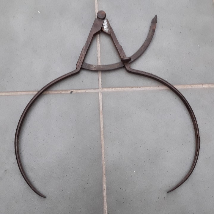 Antig&uuml;edades: gran compas de acero, probablemente de forestal 48cm aprox - Foto 2