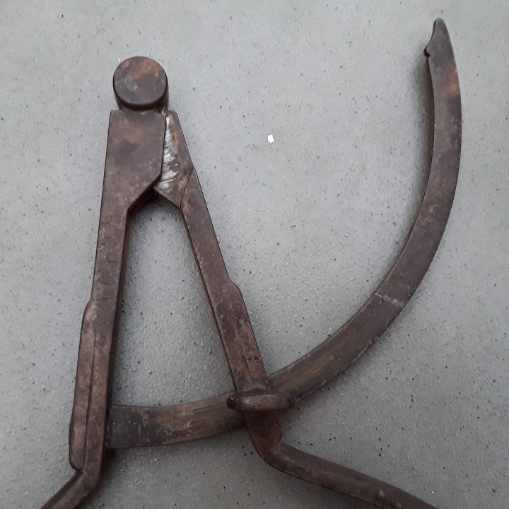 Antig&uuml;edades: gran compas de acero, probablemente de forestal 48cm aprox - Foto 3