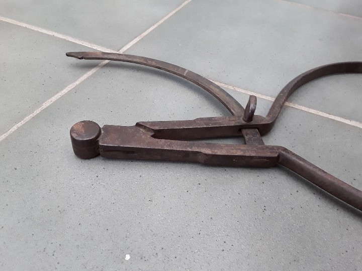 Antig&uuml;edades: gran compas de acero, probablemente de forestal 48cm aprox - Foto 4