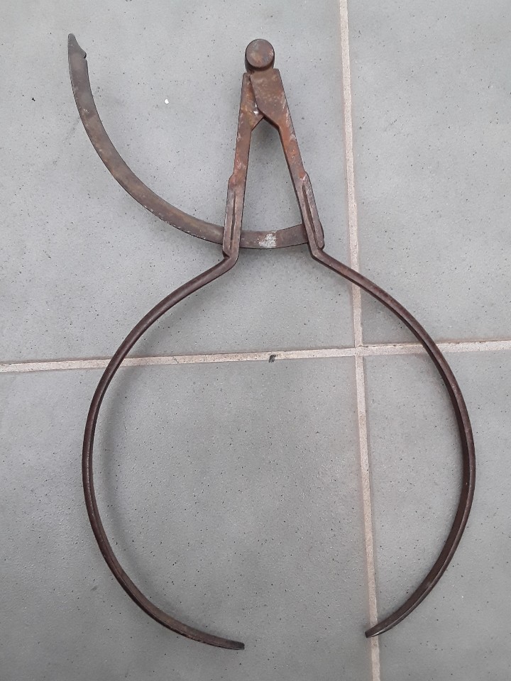 Antig&uuml;edades: gran compas de acero, probablemente de forestal 48cm aprox - Foto 5